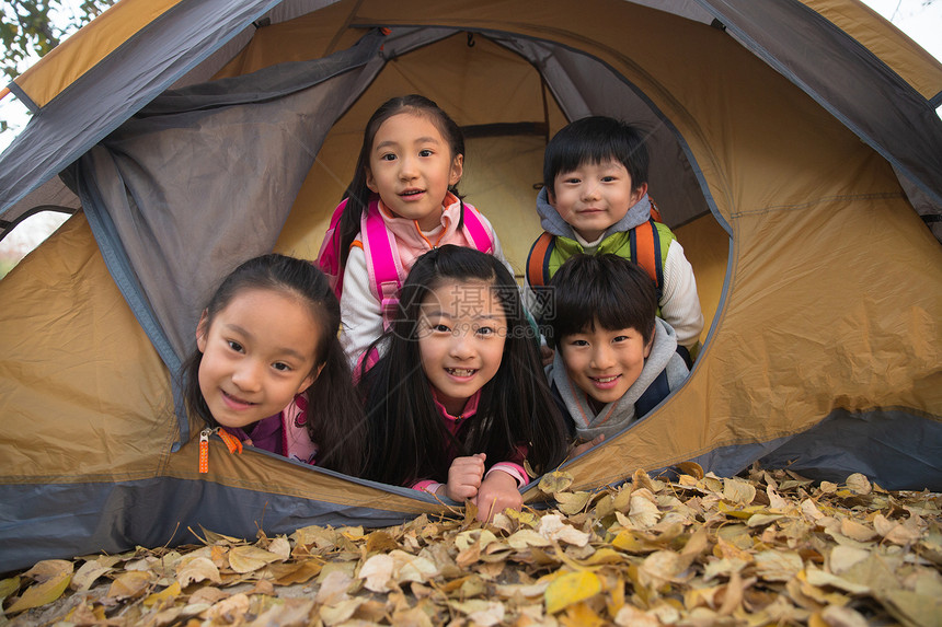 小学生在户外露营图片