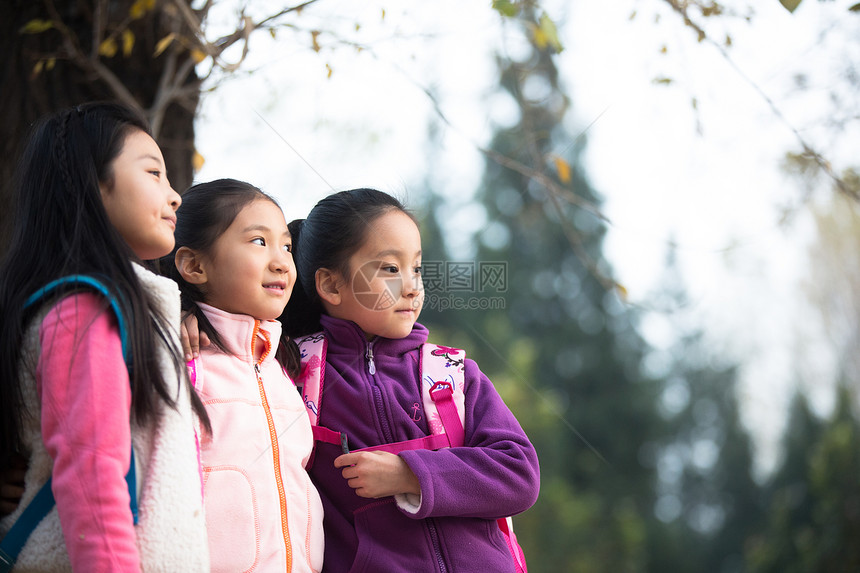 快乐公园活力小学生在户外玩耍图片