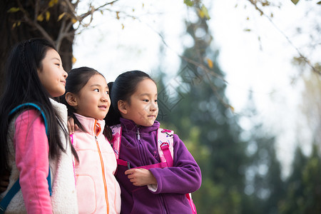 快乐公园活力小学生在户外玩耍图片