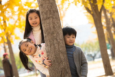 站在树上的孩子放松健康的成长欢乐的男孩女孩在户外玩耍背景