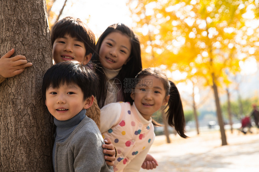 树白昼休闲活动欢乐的男孩女孩在户外玩耍图片