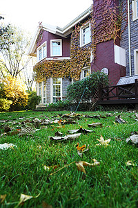 建筑秋天自然私家别墅图片