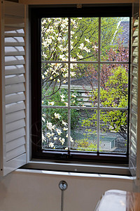 后院树别墅窗户图片