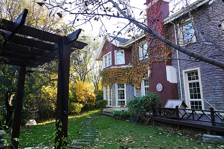 季节特征生长绿色环境私家别墅背景