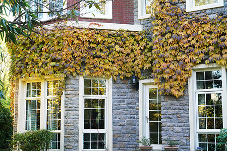 季节特征建筑外部美丽的秋天私家别墅背景