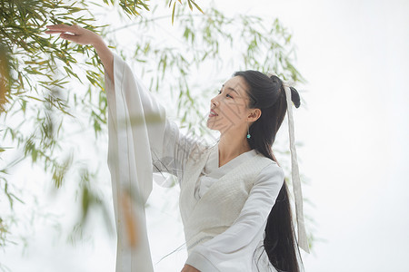 古典式侠女水平构图古装美女图片