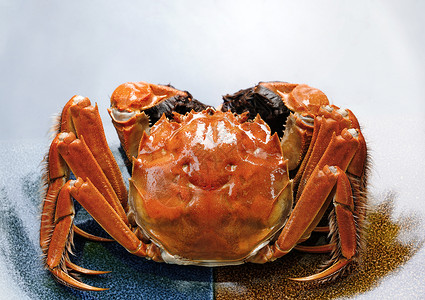 餐饮文化美味饮食文化螃蟹图片