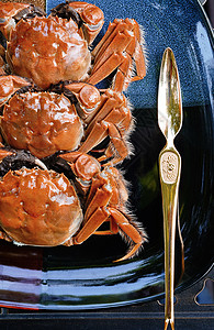 新鲜无人中华美食螃蟹图片