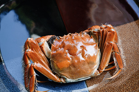 图片视觉效果食品螃蟹图片