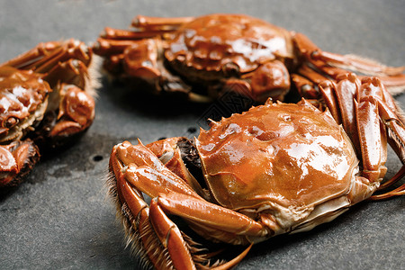 饮食文化贝类野生动物螃蟹图片