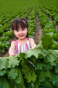 东方儿童在农庄采摘蔬菜高清图片