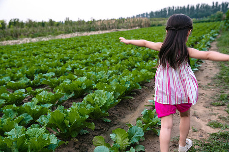 天真健康的农场东方儿童在农庄玩耍背景图片