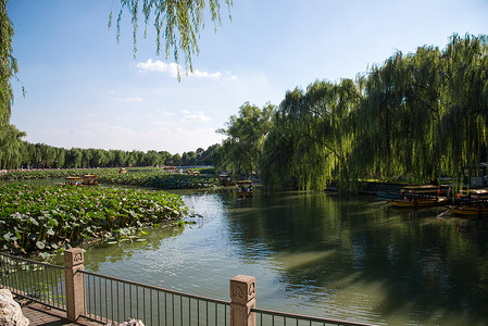 树林水旅游北京北海公园图片