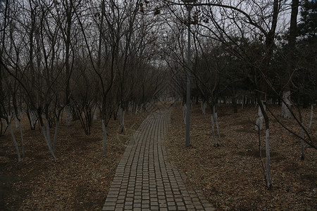 人文风光城市风光北京风情背景图片