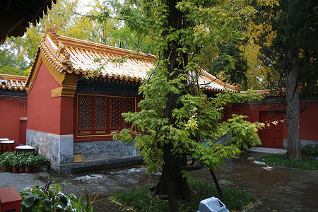 都市风光风景城市北京风光背景图片