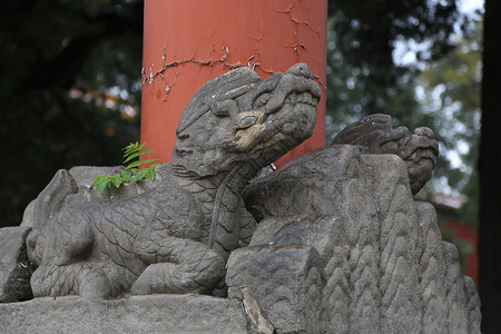 建筑城市风景北京风光图片