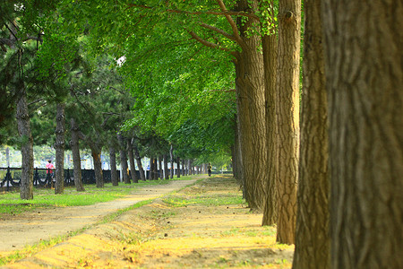 都市风光美景风景北京风光背景图片