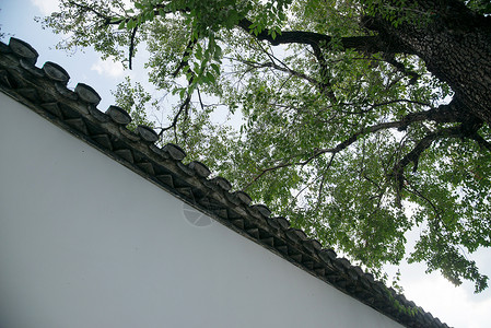 庭院墙壁江苏淮安的美丽景区背景
