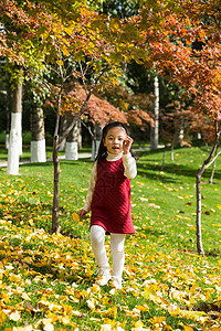 摄影树叶休闲活动可爱的小女孩在户外玩耍图片