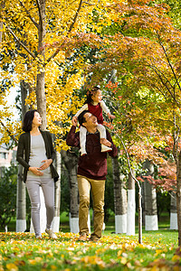 秋天旅游可爱的幸福家庭在户外玩耍图片