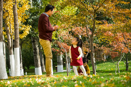 树叶绿色爱幸福家庭户外玩耍背景图片