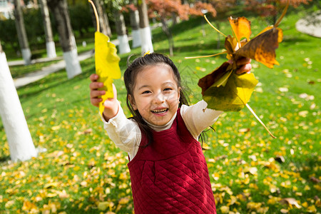落叶树叶放松可爱的小女孩在户外玩耍图片