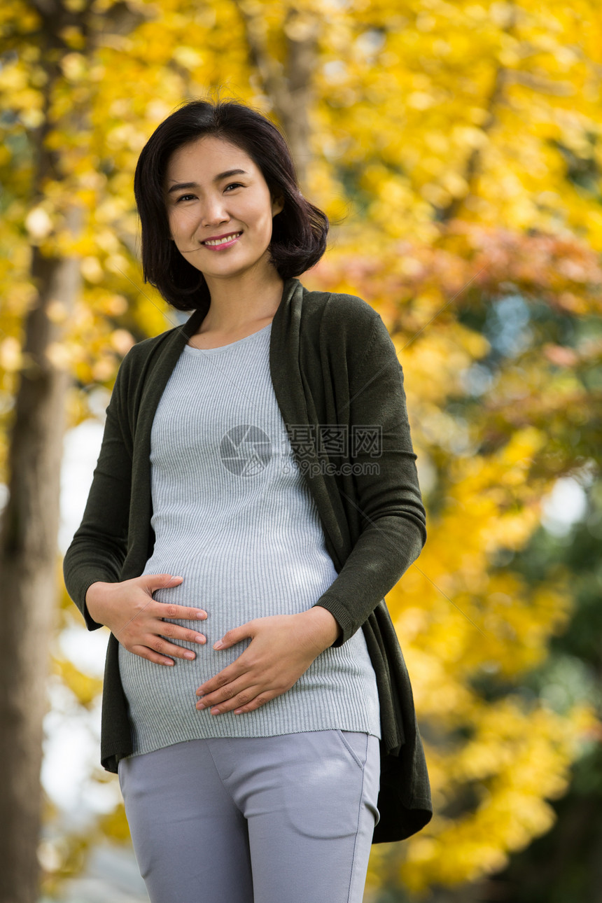 毛衣愉悦东方人年轻的孕妇在户外图片