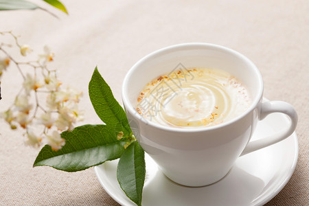 绿叶PNG热饮食品桂花茶背景