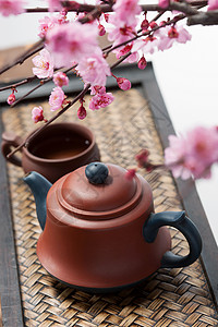 茶壶梅花盛开的茶高清图片