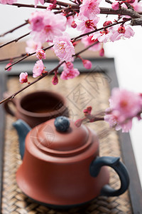 创意杯子盆栽艺术品植物学茶壶背景