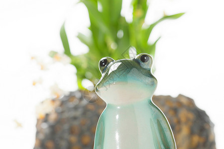 陶瓷青蛙可爱的小花盆高清图片