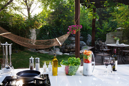 红酒器皿图标户外庭院环境生态厨房背景