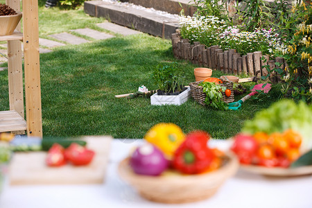 生态绿色食品花园厨房背景
