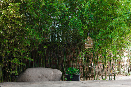 鸟笼元素安静的中式庭院背景