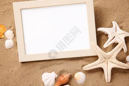 贝壳相框放松沙滩静物背景