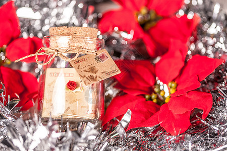 花朵装饰标签圣诞节贺卡摄影漂流瓶背景