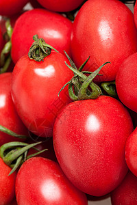 圣女果小西红柿亚洲摄影纯净西红柿背景