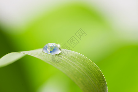 地球与水滴影棚拍摄摄影水滴绿叶水珠背景