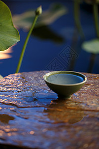 水冰月中秋池塘茶杯茶具背景