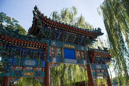 柳树元素白昼文化北京北海公园背景