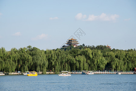 国内著名景点树天空北京北海公园背景图片