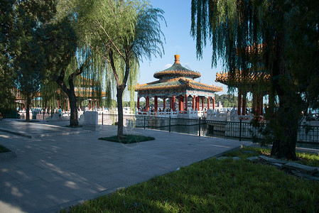 柳树元素户外亭台楼阁北京北海公园背景