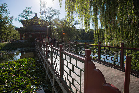 水平的游客水水平构图湖北京圆明园公园背景