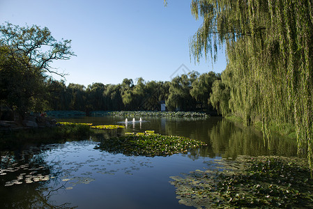 河流户外彩色图片北京圆明园公园图片