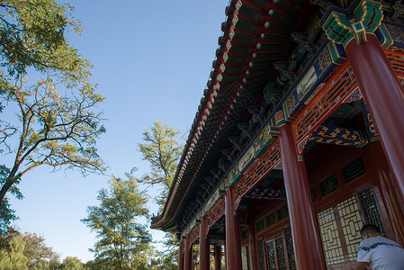 圆明园内风景远古的旅游文化北京圆明园公园背景