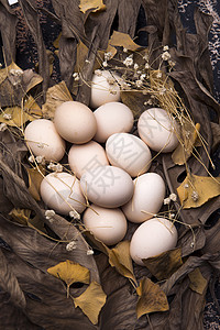 深绿椭圆形叶子东亚摄影户内土鸡蛋背景