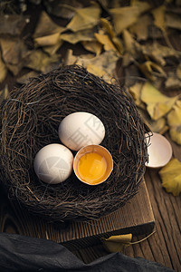 枯叶卵鸟蛋土鸡蛋图片