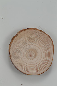 圆形底纹素材纹理木桩年轮背景
