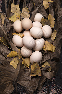 蛋白质营养土鸡蛋图片