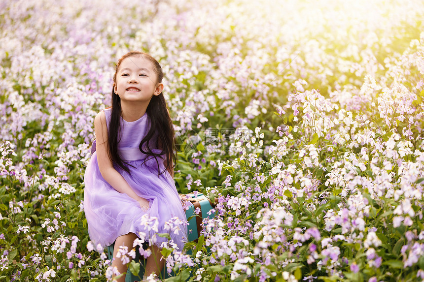 草地愉悦季节可爱的小女孩在户外图片